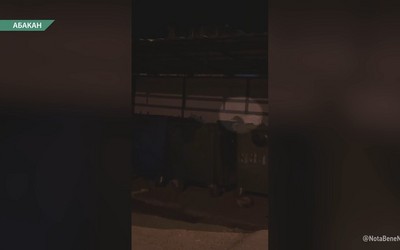 Во дворе на Лермонтова, 20 нашествие крыс