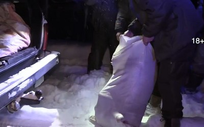 Браконьеров с убитыми косулями поймали в Хакасии