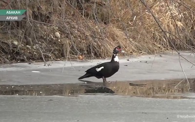 Сериал с индоуткой, кажется, закончился