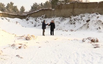 В деле о краже и забое коров появились новые подробности 