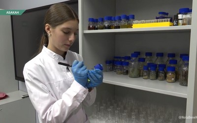 Энергетик из трав создает 9-классница из Черногорска