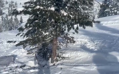 15-летняя девочка погибла в Ергаках на горнолыжной трассе