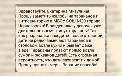 Ученики 20-ой школы Черногорска жалуются на тараканов