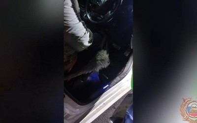 Пьяный водитель и его супруга воспротивились автоинспекторам в Абакане