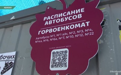Остановки Абакана украшают полезные ягоды-малинки
