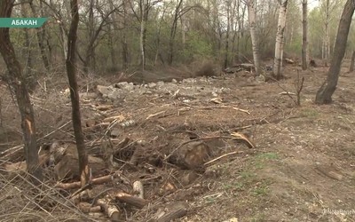   Абаканцы жалуются на овраг с отходами в Парке Культуры и отдыха