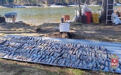 Браконьера за ловлей хариуса поймали в Таштыпском районе