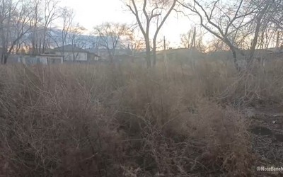На траву по пояс жалуются жители Черногорска и Усть-Абаканского района