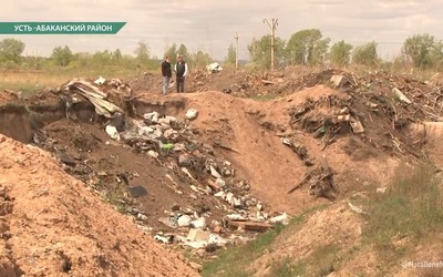 Абаканцы жалуются на стихийный скотомогильник в полях недалеко от ТЭЦ