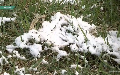 Сельские жители переживают за урожай
