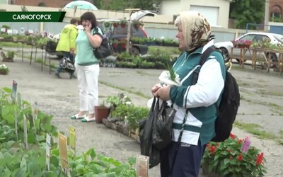 Саяногорск Главный 10.06.25