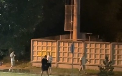 В Абакане хулиганы пополам сломали молодую сосну