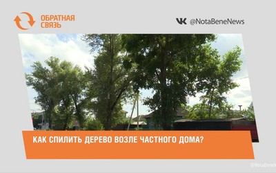 Как спилить дерево возле частного дома?