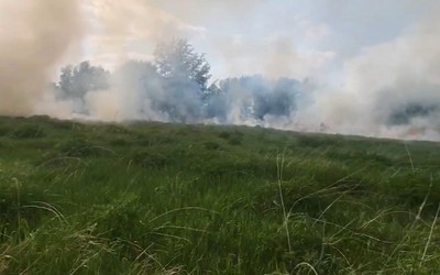 Потрошиловский бор едва не сгорел в Минусинском районе