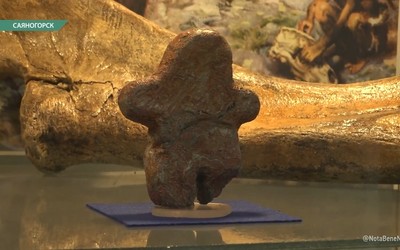 Майнинской Венере 45 лет 