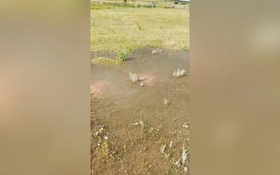 Фыркал остался без воды