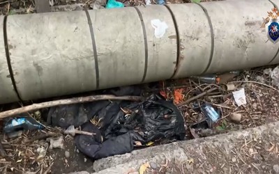 Расчленил тело жены и разбросал его по городу красноярец