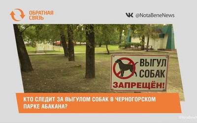 Кто следит за выгулом собак в Черногорском парке Абакана?