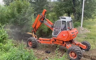 Деревья и кустарники обрезают на Южной дамбе Абакана