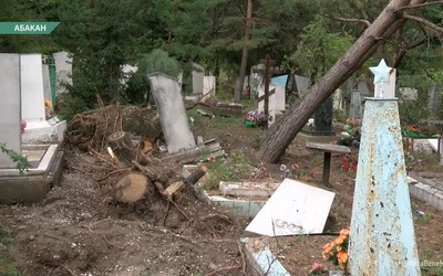 Не все поваленные июльским ураганом деревья убраны на кладбищах