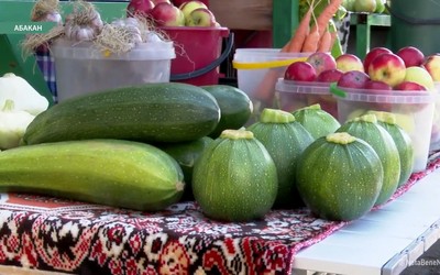 День кабачка 