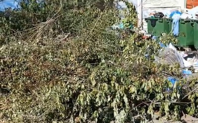 «Беспредел» на Мичурина, 46 в Абакане продолжается