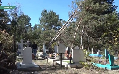 Дирекция кладбища в Абакане продолжит обрезку упавших деревьев