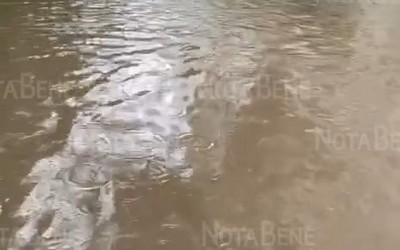 «После дождей нам нужна лодка!»: Абакан захлебнулся осадками 
