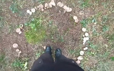 Ведьмины круги заметили в окрестностях Минусинска