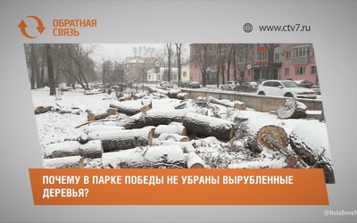 Почему в Парке Победы не убраны вырубленные деревья?