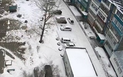 Мужчины застрелили собаку, забрали ее и уехали, сообщают саяногорцы