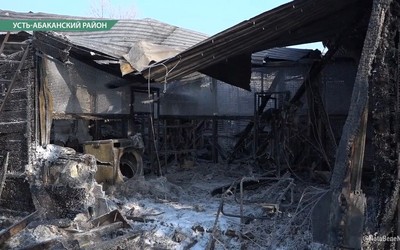 Обгорели 40 кошек в приюте для животных «Каштанкин дом»