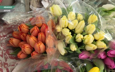 107 точек с продажей тюльпанов появятся в Абакане к 8 марта