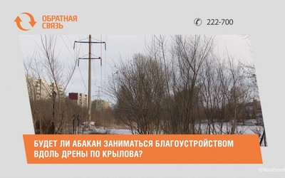 Будет ли Абакан заниматься благоустройством вдоль дрены по Крылова? 