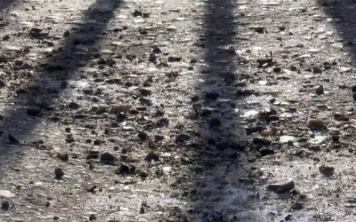 Абаканцы жалуются на подсыпку в городе