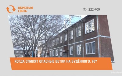 Когда спилят опасные ветки на Будённого, 76?