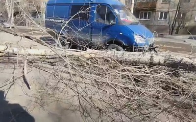 Тополь рухнул на капот машины ритуальных услуг в Абакане