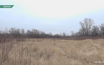 С местом под будущий сад в зоне отдыха мэрия определилась