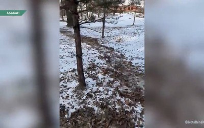 В Комсомольском парке столицы велосипедисты устроили себе трассу