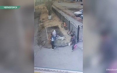 Собака покусала первоклассницу в Черногорске прямо на территории гимназии