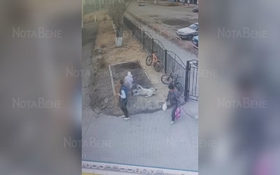 Уголовное дело завели после того, как первоклассницу в Черногорске укусила собака