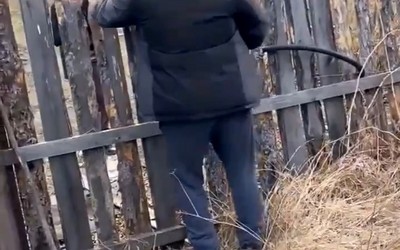 Алиментщица в Черногорске перепрыгнула через забор, убегая от приставов