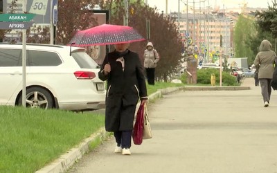 Похолодание сказывается на здоровье жителей региона, дачном сезоне и посевной кампании