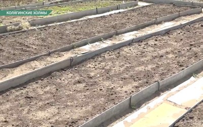На Колягинских холмах -2 и 3 высыхают огороды