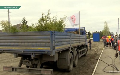 Угольщики Черногорска высадили аллею из елей на Советской