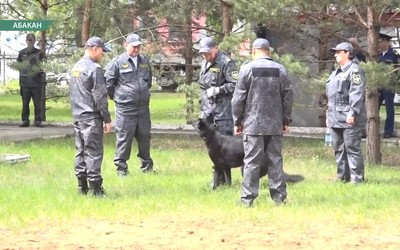 Задержать нарушителя за 6 секунд могут служебные собаки железнодорожников