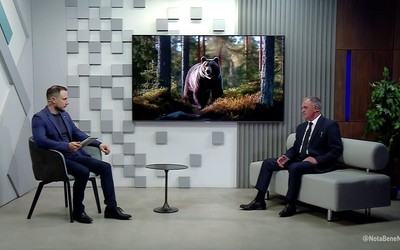 Итоги: медведи снова угрожают городам и сёлам Хакасии