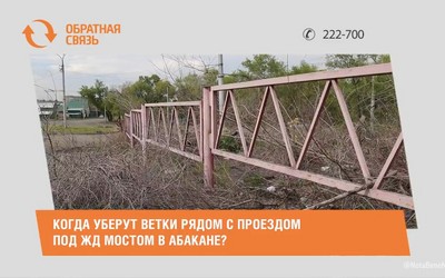 Когда уберут ветки рядом с проездом под ЖД мостом в Абакане ?