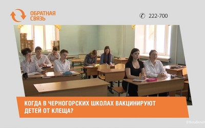 Когда в черногорских школах вакцинируют детей от клеща?