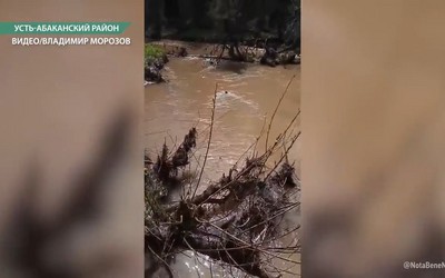 Река Теренца в Усть-Абаканском районе окрасилась в бурый цвет